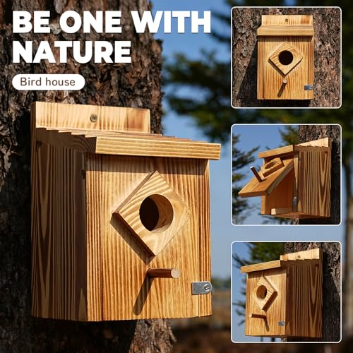 Waterproof Wooden Blue Bird House, Weather-Treated Bird Box for Outdoors | 1.5 Inch Entrance Diameter, No Assembly Required Design, Easy to Clean, for Wrens, Swallows, Finches, Chickadee - color: brown