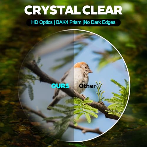 10x25 Compact Binoculars for Kids and Adults, Large View Small Binoculars for Bird Watching, Waterproof with Low Light Vision BAK4 Prism FMC Lens for Cruise Ship Travel Hunting