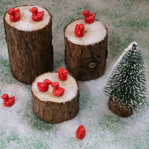 100 Pcs Mini Resin Ducks Tiny Ducks Miniature Duckies Bulk Figures for Garden Micro Landscape Home Prank Game Micro Landscape Aquarium Dollhouse Ornament DIY Handmade School (Red) - color: Red