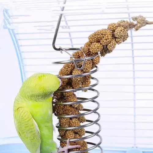 Bird Food Holder Parrots Foraging Toys for Birdcage Hanging, Stainless Steel Bird Treat Feeders Food Basket for Parakeet Cockatiel African Grey Conure Cockatoo Macaw
