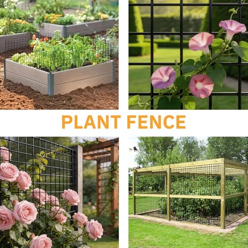 PVC Coated Welded Wire Fencing,2"x2" 14GA Coated (16GA Bare),24inch H x 100ft L Garden Wire Fence Roll,2/3/4/5/6ft Tall x 100 ft Long Vinyl Coating Metal Wire Mesh for Yard,Farm,Dog,Vegetable - color: Black, size: 14GA 2x2 24"x100'