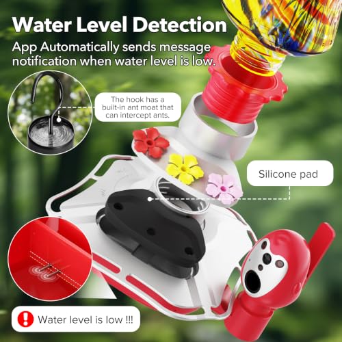 Hummingbird Feeder with Camera, 2K Smart Bird Feeder with AI Bird Detection & App Alerts, Solar Powered Bird Feeder Camera with Water Level Monitor, Hand-Blown Glass Hummingbird Feeder for Outdoors