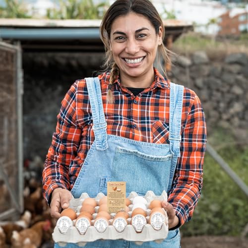 3 in 1 Total 1200pcs Fresh Farm Egg Egg Stickers Set Include 500pcs Farm Fresh Eggs Carton Labels 200pcs Handling Instruction Cards 500pcs Please Return Eggs Carton Labels Stickers