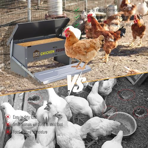 XINYI Chicken Treadle Feeder,12 Lbs Metal Treadle Feeder, No Waste & Rodent Proof Chicken Feeder with Weatherproof Lid, Suitable for Bantams, Poultry, Pheasants - 1.7Gallon Capacity - size: 1.7Gal