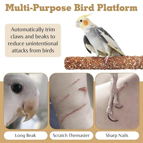 PINVNBY 2 PCS Natural Bird Perches Calcium Mineral Parakeet Chewing Toy Sticks Parrot Beak Grinding Stone Cage Accessories for Small Medium Budgie Cockatiel Conure Lovebird