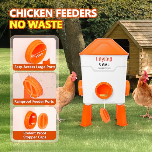 Lilyang 3 Gallon Automatic Chicken Waterer & Feeder Set, Auto Water Refill | Anti-Spill Ports & Stay-Clean Cups, Auto Watering System with Float Valve, No-Waste Poultry Feeder, No-Tools Assembly - color: Bright Orange