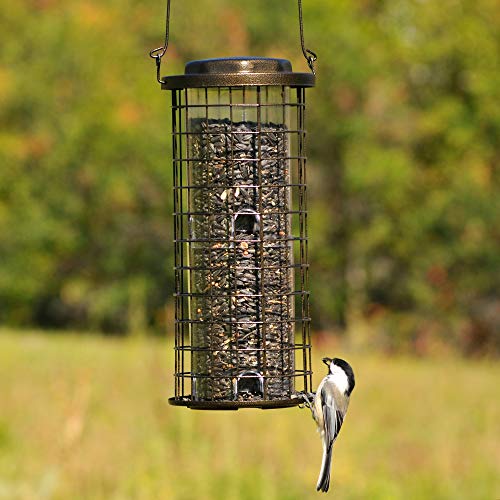 Perky-Pet 114 Squirrel Stumper Wild Bird Feeder