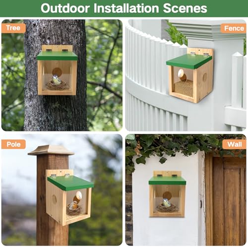 Bird Houses for Outside Clearance with Clear Window Hummingbird House for Viewing,Bird Feeder,Hanging Wooden Birdhouses,Bird Nesting Box for Bluebird Finch Swallow Wren Chickadee Assembly Required
