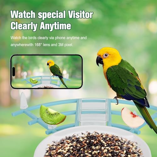 Bird Feeder with Camera, AI Identify Birds Species, Smart Bird Feeder with Camera Solar Powered, Auto 2K HD Video in Backyard, Ideal Gift for Family and Birds Lovers