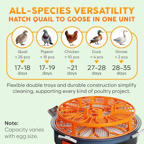 Egg Incubator with Automatic Egg Turning and Humidity Control – 12 or 20 Egg Incubator for Hatching Eggs – incubadora de huevos de gallina – Smart Temp Adjust – Candling Lamp