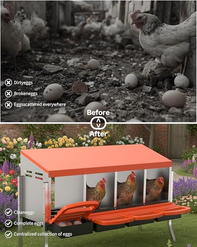 GarveeLife Chicken Nesting Box 4 Hole, Galvanized Steel Nest with Roll Away Egg Collection & Swing Perch, Easy-Clean Laying Box for Hens, Heavy Duty Design for Chicken Coop - color: Orange, size: 4 holes with legs