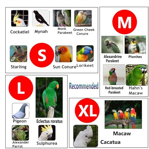 QBLEEV 2 Pack Bird Diapers, Reusable Cockatiel Tuxedo Flight Suite Costume | Parrot nappy clothes for wedding party birthday cosplay photo, pigeon pants urine wet suit for conure macaw budgies parakeet - size: L
