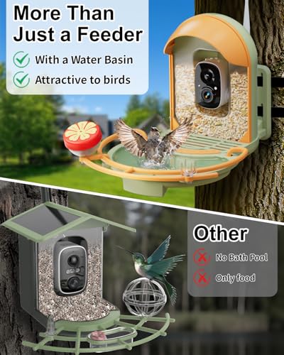 Bird Feeder with Camera, Bird Bath, Solar Powered, 2K HD, Wireless | Enjoy crisp 2K video, AI bird recognition, solar charging, bird bath design, night vision and instant app motion alerts. - color: Light Green, size: With BirdBath