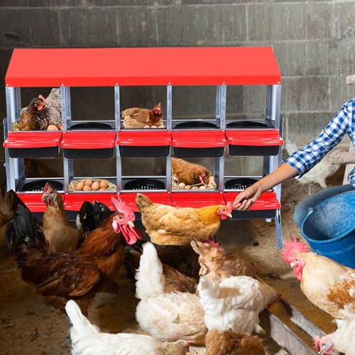 Chicken Nesting Box, Red 10 Hole Chicken Laying Box with Bracket, Tray for Egg Collection, Large Holes for Ventilation, Suitable for Chickens & Ducks - color: Red, size: 10 Holes with legs