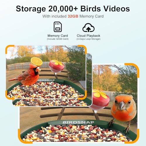 birdsnap® PAV Bird Feeder with Camera Solar Powered 2K Live Video 32GB Card | AI Bird Species Identification, Instant Arrival Alerts, IP65 Waterproof, Wild Bird Feeders for Outdoors, Gift for Bird Lovers - color: Dark Green