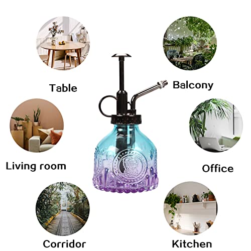 TOMEX Glass Plant Mister Spray Bottle 200ML Watering Bottle with Top Pump Watering Can for Indoor Outdoor House Plants, Flowers (Blue-Purple) - color: Blue-Purple
