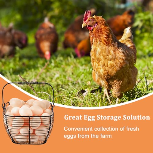 2 PCS 7" Black Wire Egg Baskets With Handle Kitchen Countertop Egg Holder | Small Metal Collecting Basket for Gathering Fresh Eggs, Chicken and Duck Eggs Hunting Basket & Counter Storage Basket - color: Black