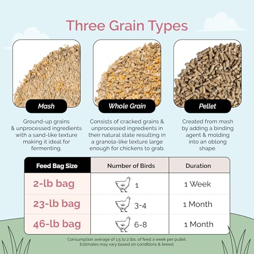 Mile Four Organic Chicken Feed, Grower Whole Grain, Non-GMO,US Grown 46 lbs | 18% Protein; Corn-Free; Soy-Free; Non-Medicated; For Chickens Age 8-20+ Weeks; USA Grown; Non-GMO; Supports Healthy Growth - size: 46 Pound (Pack of 1)