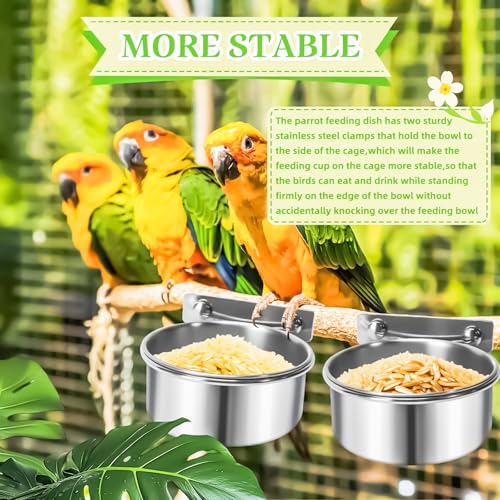 2 Pack Bird Feeding Bowls Cups Parrot Food Water Dishes, Stainless Steel Bird Bowl Cup Dish with Clamp, Birdcage Feeder Pet Cage Bowls for Parrot Cockatiel Budgie Conure Parakeet Small Animal - size: 2 Pack