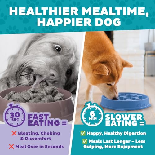 Outward Hound Fun Feeder Slo Bowl – 2‑Cup Capacity, Slow Feeding, Small to Medium Dogs & Cats, Non-Slip, Blue, Notch Pattern, Medium (Pack of 12) - color: Blue, size: Medium (Pack of 12)