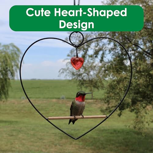 Tweet Heart Hummingbird Swing - Black - Wooden Dowel | Decorative Jewel Heart - Hummingbirds Guard Their Feeder - Black Metal Frame - color: Black