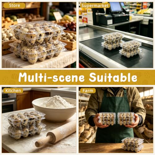 100 Pack Quail Egg Cartons, 12 Count Clear Egg Trays with Lids | Small Egg Storage Holders, Plastic Bulk Egg Boxes for Quail, Pheasant, Pigeon Refrigerator Storage and Display