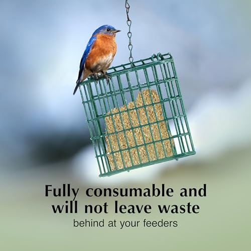 C&S Mealworm Delight No Melt Suet Dough, Suet Cakes for Wild Birds Including Robins, Blue Jays, Woodpeckers, Wrens, Bluebirds and More, 11.75 Ounces, Pack of 8 - size: 1.47 Ounce (Pack of 8), style: Mealworm, 8 Pack