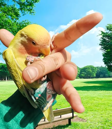 2 Pcs Bird Diapers Bird Harness Flight Suits Diapers with 80in Flying Leash Reusable Parrot Nappy with Waterproof Inner Layer for Cockatiel Budgie Conure Parakeet Lovebird-Red&Green