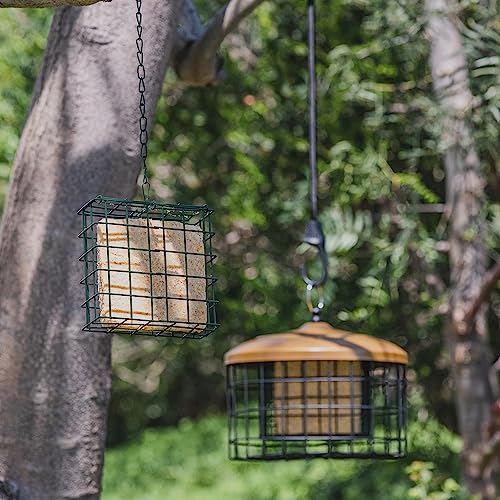 MEKKAPRO Suet Feeder Cage, Single Bird Feeder, Metal Chain, Outdoor | Single Capacity Suet Holder Recommended For Bird Feed, Ideal For Clinging Birds, Woodpeckers, And Nuthatches In Every Yard - size: Single