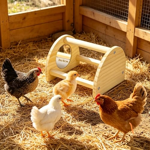 Pine Chicken Perch with Mirror, Strong Chick Jungle Gym Roosting Bar, Chicken Toys for Coop and Brooder, Training Perch Toys for Large Bird, Parrot, Macaw, Hens (Small) - size: Small