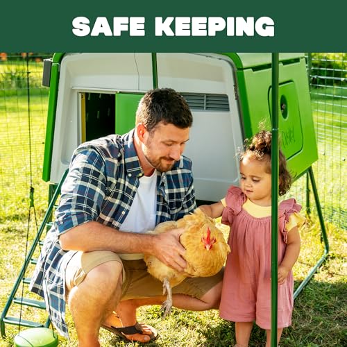 Omlet Eglu Cube Large Chicken Coop | Easy to Clean Plastic Chicken Tractor | The Most Secure Hen House for Complete Peace of Mind | Weatherproof Cool in Summer and Warm in Winter | Green
