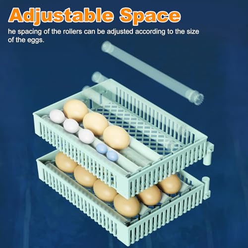 24 Egg Incubator Auto Turner Water Control Adjustable Tray Candler | Auto Temp Humidity Control, Built-in Egg Candler Light, Fits Chicken Duck Quail Pigeon Eggs, High Hatching Rate
