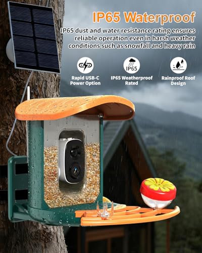 Bird Feeder with Camera, 2K HD Camera Birds Feeder with AI Bird Recognition, Solar Powered Smart Birdfeeder with App Control, Color Night Vision, Gift Box Package, Easy Install & Family Sharing - color: Dark Green, size: Stand