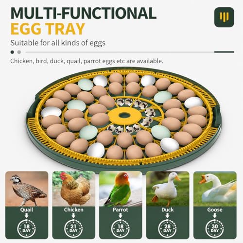 52 Egg Incubator with Automatic Egg Turning and Humidity Display, Incubators for Hatching Eggs, Chicken, Ducks, Goose, Pigeon, Quail, Parrot Incubator for Farm, Lab