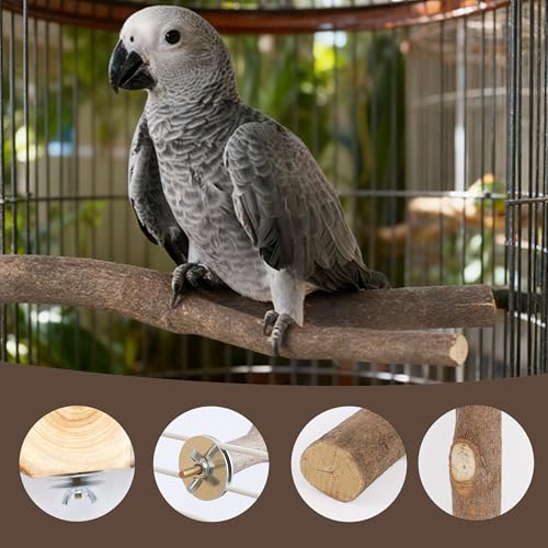 8 PCS Bird Perch Set | Natural Birch Wood, Straight & Forked Perches with Platforms, For Parakeets, Cockatiels, Conures, Lovebirds, Cage Accessories