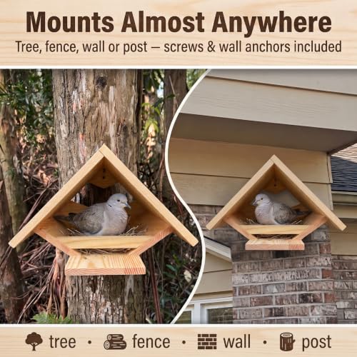 Dove Bird House, Mourning Dove Nesting Box for Pigeons, Open Nest Platform | For Mourning Doves, Pigeons, Open Design, For Backyard Garden, Small Medium Birds Not Large Ones
