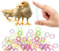 100PCS Baby Poultry Leg Bands, Soft Elastic Chicken Leg Rings for Identification, Comfort Fit for Chicks Ducklings Bantams Pigeons Parrots Canaries and Small Birds (Small (Size 3) 3/16”) - size: SMALL (Size 3)3/16”