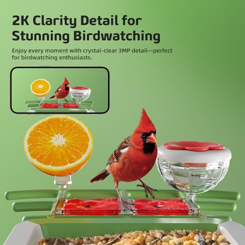 Bird Feeder with Camera, 2K HD Smart Birds Feeder with Solar Panel, AI Bird-Recognition, Instant Motion Alerts, Auto Capture BirdVideos, Outdoor Birdhouse Feeder Gift for Bird Lovers - color: Green