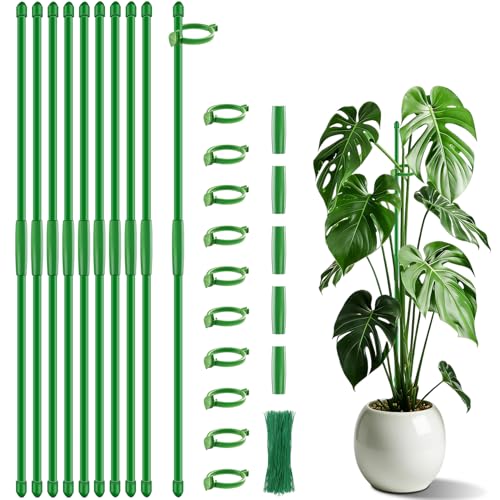 Plant Support Stakes for Indoor SupKing Orchid Sticks with Clips Garden Stake Extended to 2/3/4ft for Outdoor Potted Tomato Rose Vegetables House Palnts Comes with 20 Plants Ties(15 inch 10Pcs) - color: Green