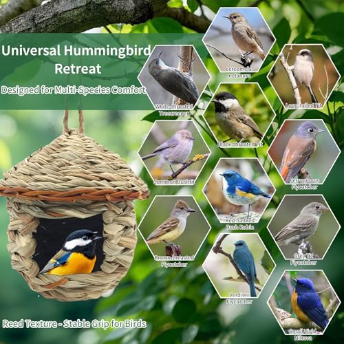 GUTE Hummingbird Houses 2Pcs Hand Woven Grass Hanging Bird Nest | Natural Grass,Hand-Knitted,Sturdy Shelter,Ventilated Cozy Design,Blends in Trees,Easy to Hang,Garden,Window. - color: Mushroom Shape, size: 2Pack