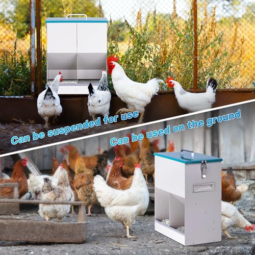 10L Chicken Grit and Oyster Shell Feeder Combo with Lid Hanging Duck Feeder Automatic Metal Gravity Chicken Feeder Poultry Coop Accessories for Goose Hens Eggs (Blue)
