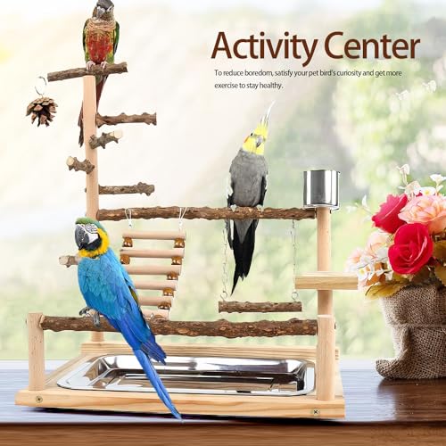 Natural Wooden Parrot Play Stand | Perch with Removable Tray, 2 Stainless Steel Cups & Swing | for Cockatiels, Budgies, Conures & Small Birds (2 Cup with Tray)