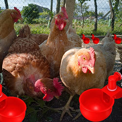Chicken Water Cups 6 PCS Automatic Watering Cup 3/8 Inch Filling Waterer Poultry Drinking Bowl for Duck Rabbit Feeder with Drill Bit