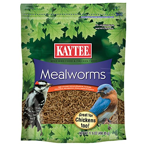 Kaytee Wild Bird Food Mealworms For Bluebirds, Wrens, Robins, Chickadees, Woodpeckers, Cardinals & Chickens, 17.6 Ounce - size: 1.1 Pound (Pack of 1)