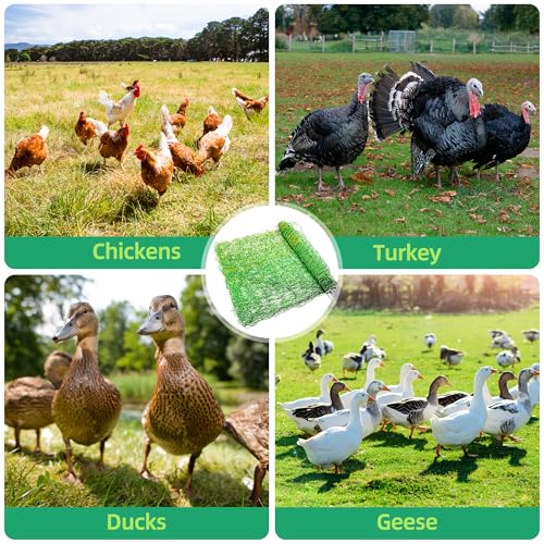 Poultry Netting Electric Fence, Portable Livestock Nets Mesh for Chickens, Ducks, Geese, Turkey, Electric Fencing for Backyards, Homesteaders, Farms, Ranches (Green, 47.5" x 164' L H Poultry) - color: green, size: 47.5" H x 164' L Poultry