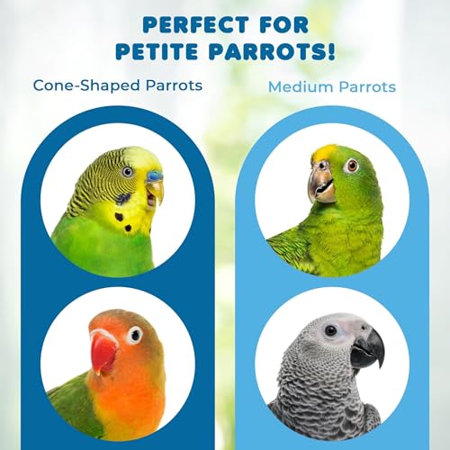 SunGrow Parrot Toy – Bird Foraging & Chew Toy with Wooden Blocks and Cotton Rope, Hanging Cage Accessory for Conures, Budgies, Parakeets & Other Small Birds