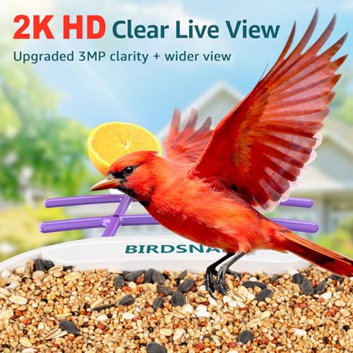birdsnap® TUC Bird Feeder with Camera Solar Powered 2K Video with 32GB Card | AI Bird Species Identification, Squirrel-Proof, IP65 Waterproof, Outdoor Wireless, 2.4G WiFi, Gift for Mom Dad Bird Lovers - color: Purple