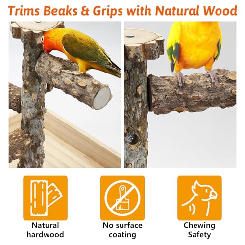BNOSDM Portable Bird Perch Stand with Potty Tray, Natural Wood Tabletop Training Gym Parrot Playground Toy for Budgies, Cockatiels, Lovebirds,Conures Canaries - color: Five Levels Bird Stand