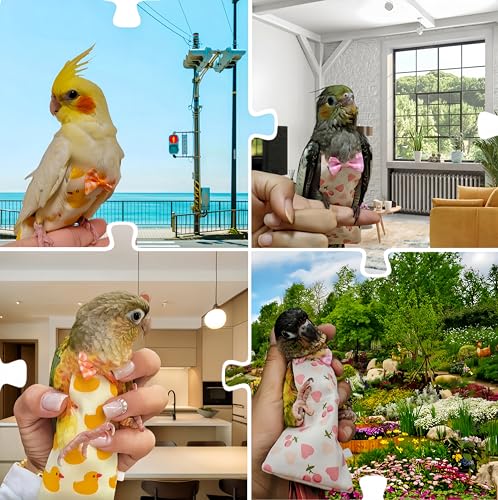 2Pcs Bird Diapers Bird Harness Flight Suits Diapers with 2Pcs 80 Inch Flying Leash Parrot Nappy Pigeon Pants Urine Wet Suit Costume for Cockatiel Conure Macaw Budgies Parakeet-Heart&Duck