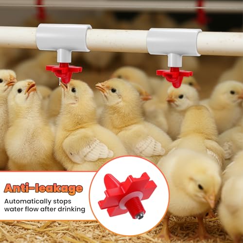 12 pcs Horizontal Chicken Water Nipples with 1/2'' PVC Tee Fittings Mount Poultry Auto Chicken Waterer Nipple Drinker for Ducks Quail and Other Poultry DIY Automatic Waterering System